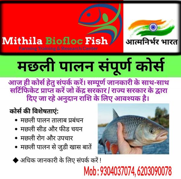 Tilapia Fish Farming Information Guide,Biofloc Fish Farming Training In Begusarai,Samastipur,darbhanga Bihar